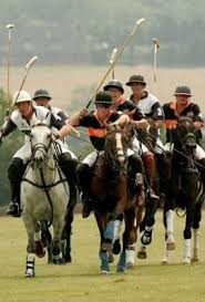 Image result for Woolmers Park Polo Club
