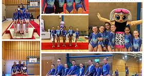 Image result for Vernon Park Gymnastics