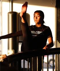 Image result for Precision Martial Arts