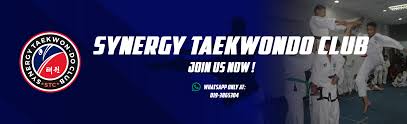 Image result for Synergy Tae Kwon Do
