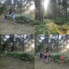 Image result for Ampthill and Flitwick Flyers