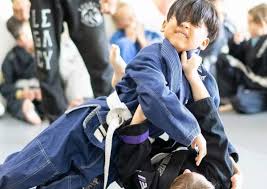 Image result for North West Chinese Kickboxing