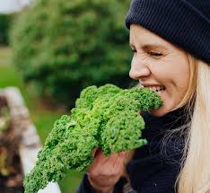 Image result for Grünkohl