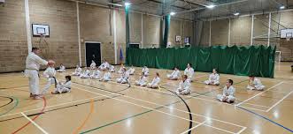 Image result for Ataru Shotokan Karate Club