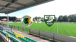 Image result for Leatherhead Football Club