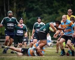 Image result for Windermere Rugby Club