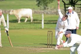 Image result for Arthington Cricket Club