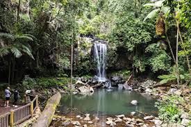 「Mt. Tamborine」的圖片搜尋結果