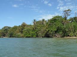 Image result for cahuita costa rica