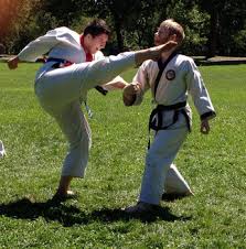 Image result for Sokudo Martial Arts Club