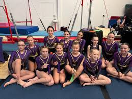 Image result for Diamonds Gymnastics Club
