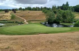 Image result for Greetham Valley Golf Club