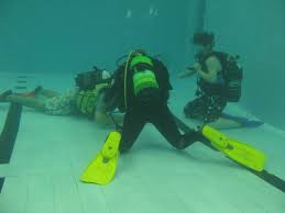 Image result for Torbay Sub-Aqua Club