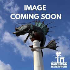 Image result for Plymouth Aquanauts