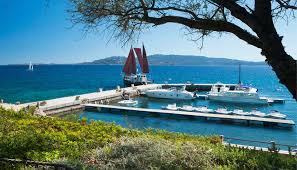 Image result for capo d'orso