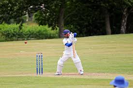 Image result for Barwick In Elmet Cricket Club