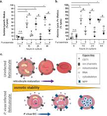 Attēlu rezultāti vaicājumam “Reticularia lobata plasmodium”