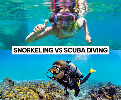 Image result for Scuba Skooling