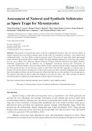 Attēlu rezultāti vaicājumam “Diderma hemisphaericum spores”