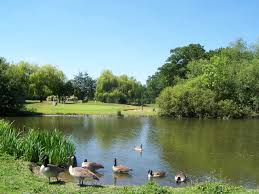 Image result for The West Middlesex Club Ltd