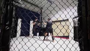 Image result for St Neots Muay Thai