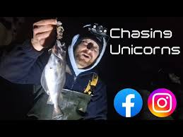 Image result for Bay Malton Angling Club