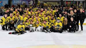 Image result for Streatham Chiefs Ice Hockey Club