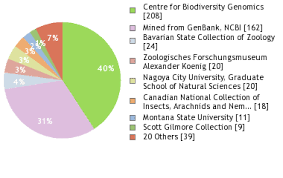 Attēlu rezultāti vaicājumam “Hemicrepidius sp.”