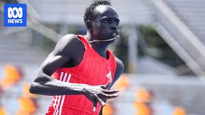 Image result for Tobogo