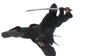 Image result for Central London Ninjutsu