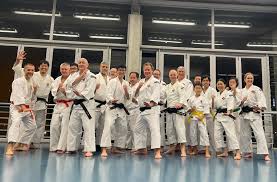 Image result for Tolworth Shorinji Kempo Branch