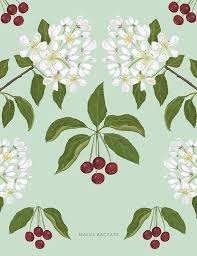 Attēlu rezultāti vaicājumam “Malus baccata”