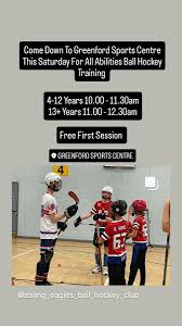 Image result for Ealing Eagles Ball Hockey Club
