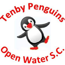 Image result for Grimsby Penguins Swimming Club