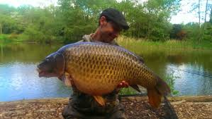 Image result for Cobham Court Angling Club