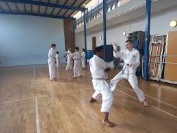 Image result for Alleyn School Of Japanese Karate