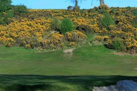 Image result for Vale Of Leven Golf Club