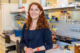 Image result for fnwi science park