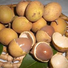 Attēlu rezultāti vaicājumam “Phyteuma spicatum fruit”