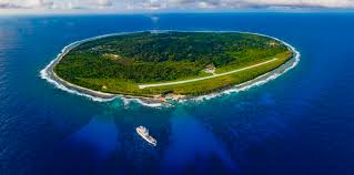 Attēlu rezultāti vaicājumam “Aranei exuvia”