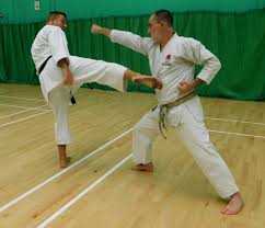 Image result for Ataru Shotokan Karate Club