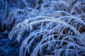 Image result for мороз