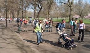 Image result for Citiskate