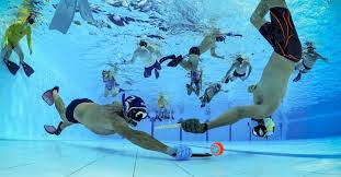 Image result for FXU Underwater Hockey