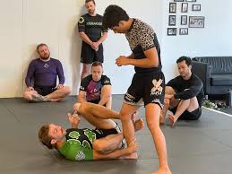 Image result for Norfolk Jikishin Ju Jitsu Club