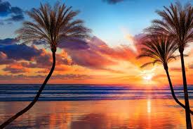 Image result for sunset