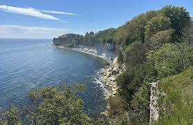 Image result for stevns klint