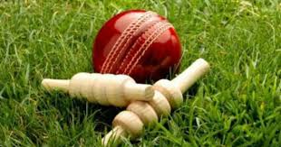 Image result for Stretton Cricket Club