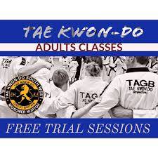 Image result for Midsomer Norton TAGB Tae Kwon-Do