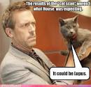 laurie cat scan - House,